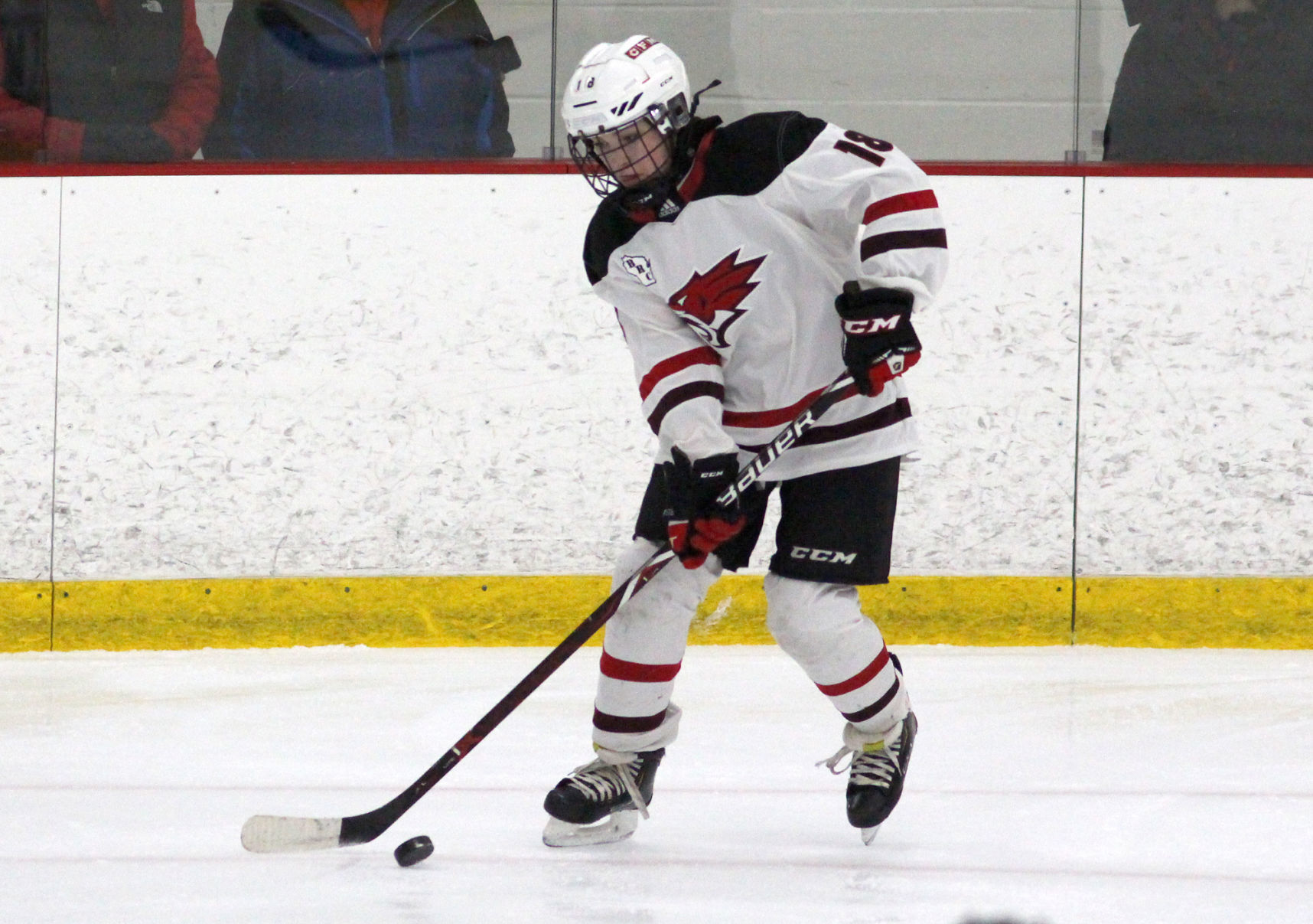 Hayward at Chippewa Falls/Menomonie girls hockey 2-20-20